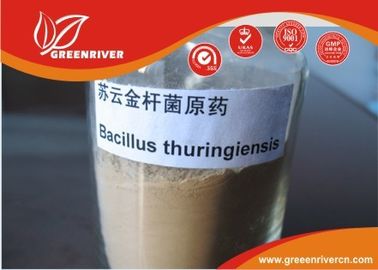 La Chine Bacille blanc de poudre insecticide de thuringiensis pour le contrôle lepidopterous de larves fournisseur